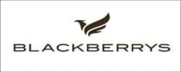 Blackberry coupon codes